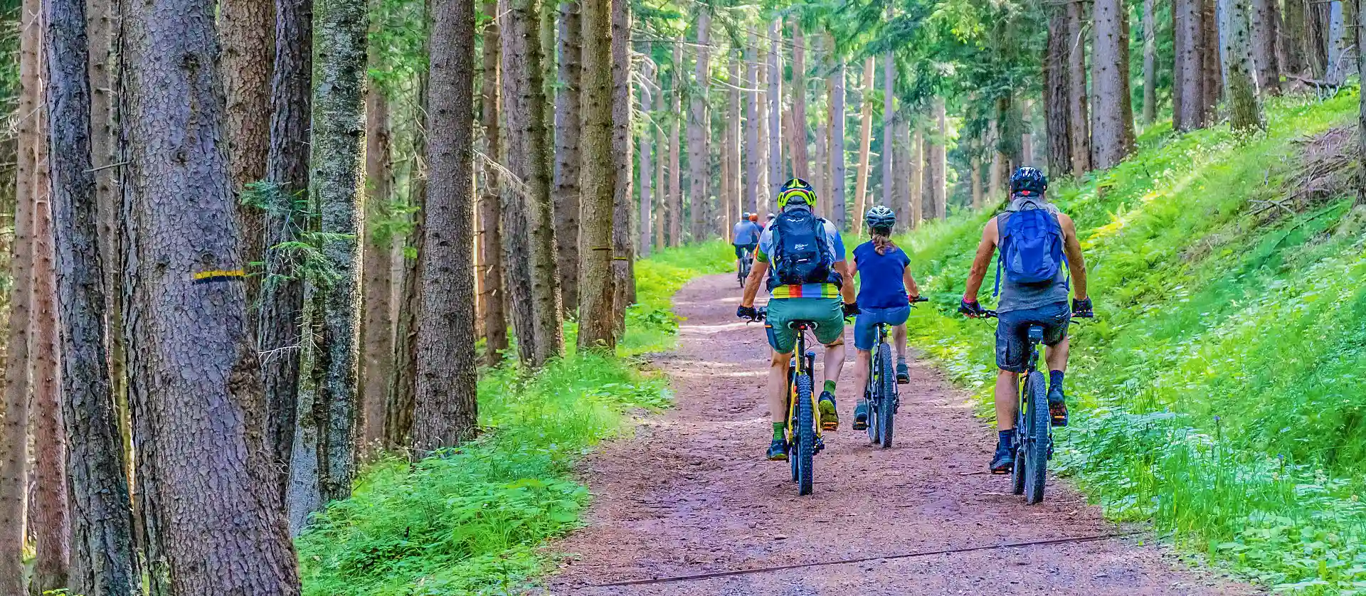 Les meilleurs circuits de VTT en Ardeche