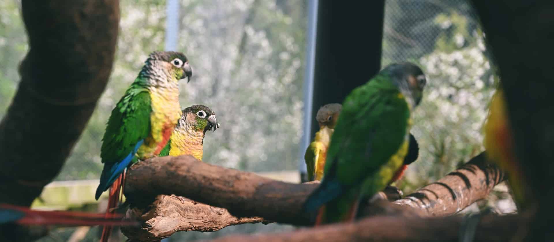 Zoo Ardèche