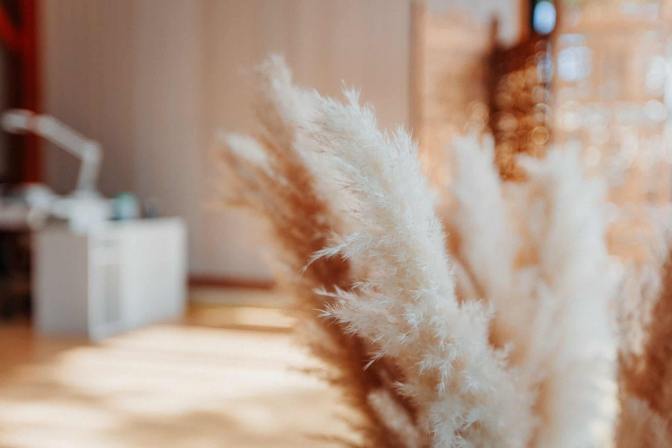 Yelloh Village Ranc Davaine